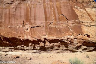 Desert Bighorn Panel